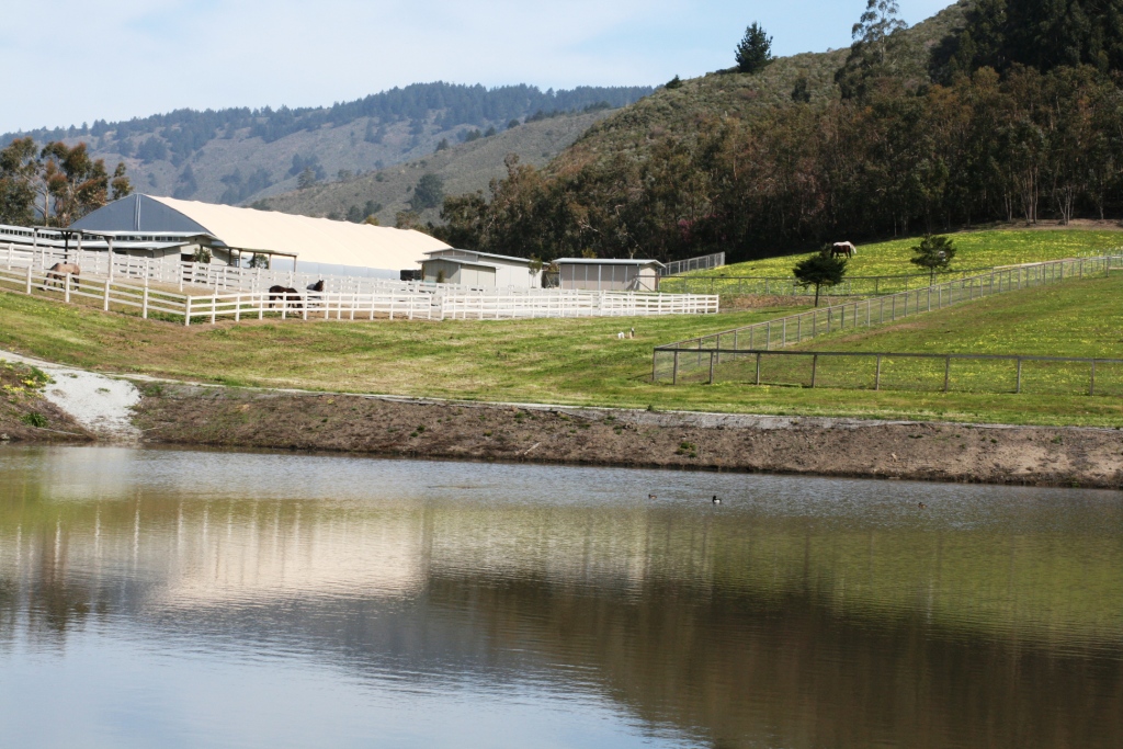 Branscomb Farm in Half Moon Bay