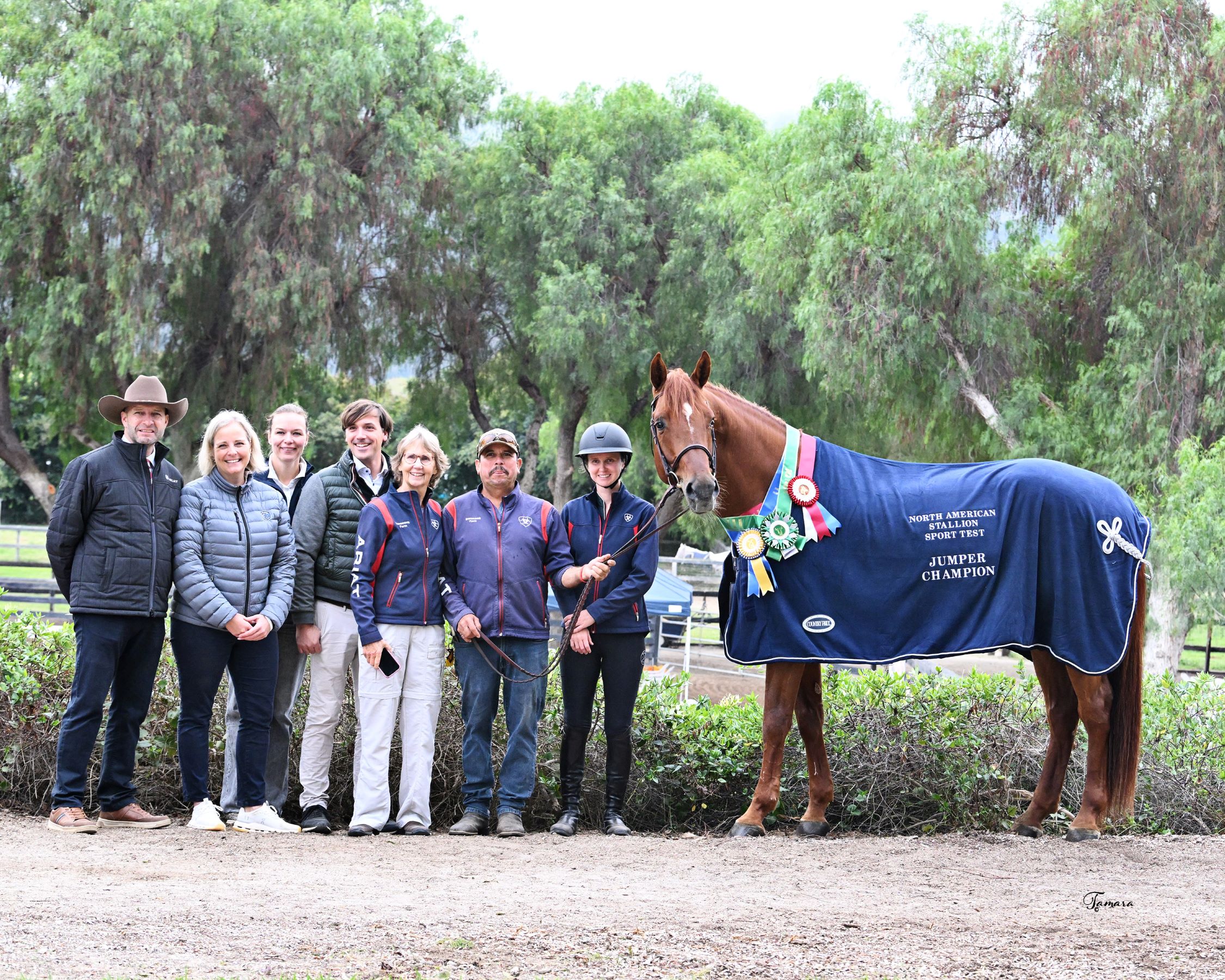 Valentino BF winning Jumper Section of 2025 NASST West