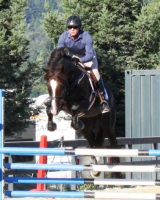 acclaimverticle2012