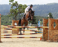 calatino_b_2012