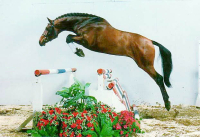 camirosjump