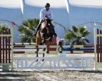 Veronique HITS THermal 2012