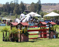Contiano BF at GP