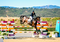 XGS_7274_GrandPix