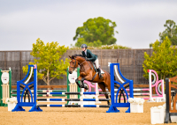 KGS_8011_GrandPix