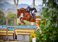 IHD Del Mar Win Val 8 26