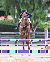 NASST 25 Valentino BF 8705