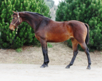 jasmin2007