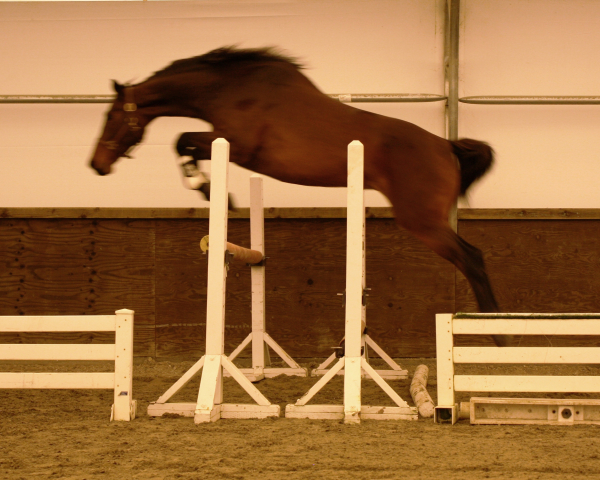 jasmina2007jump