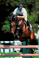 lexia_rushat2001_2