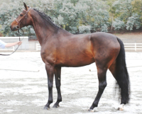 lexia_rushat2001_3
