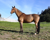talandra2003_3