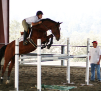 talandra2003_4