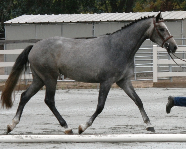 vanna2005_2