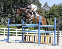 veronique2005_1